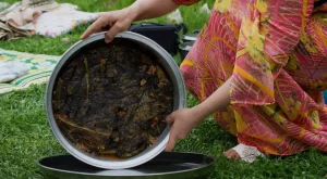 Exploring the Tradition of Stuffed Grape Leaves in Turkey