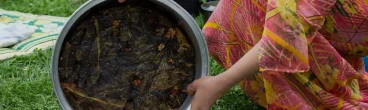 Exploring the Tradition of Stuffed Grape Leaves in Turkey