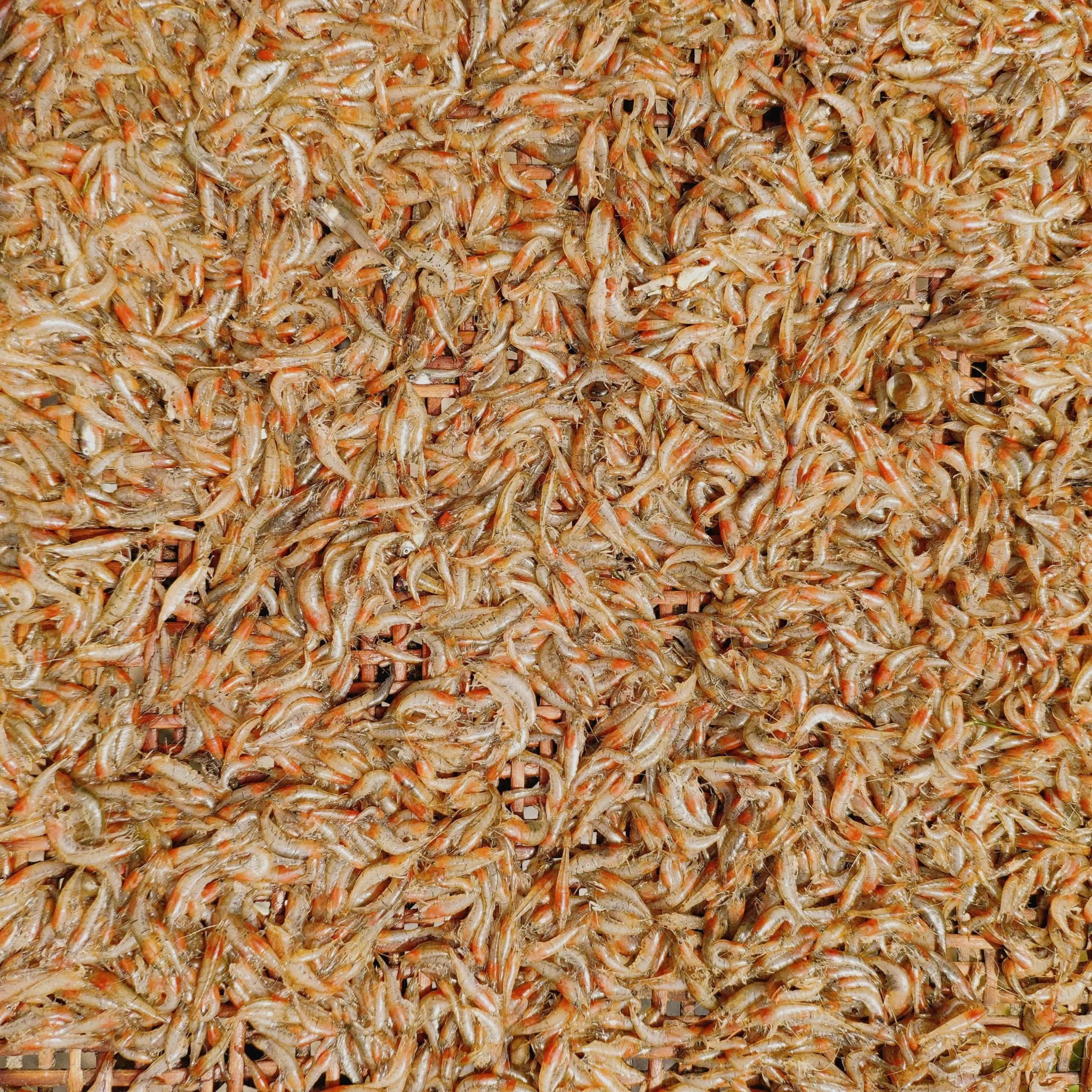 Turkish Rice Pilav