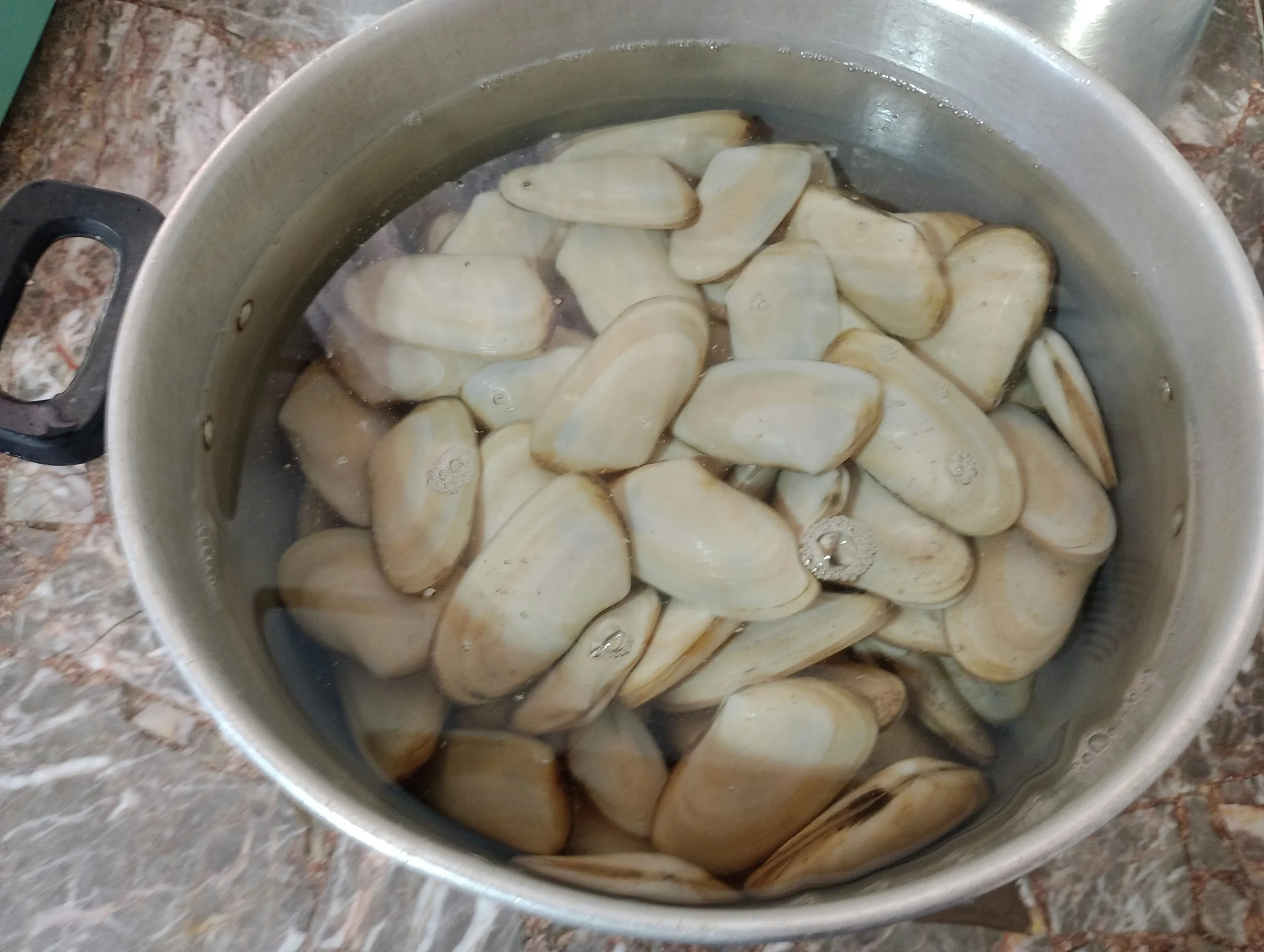 Slow-Cooked White Beans